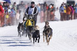 Lenk 2013